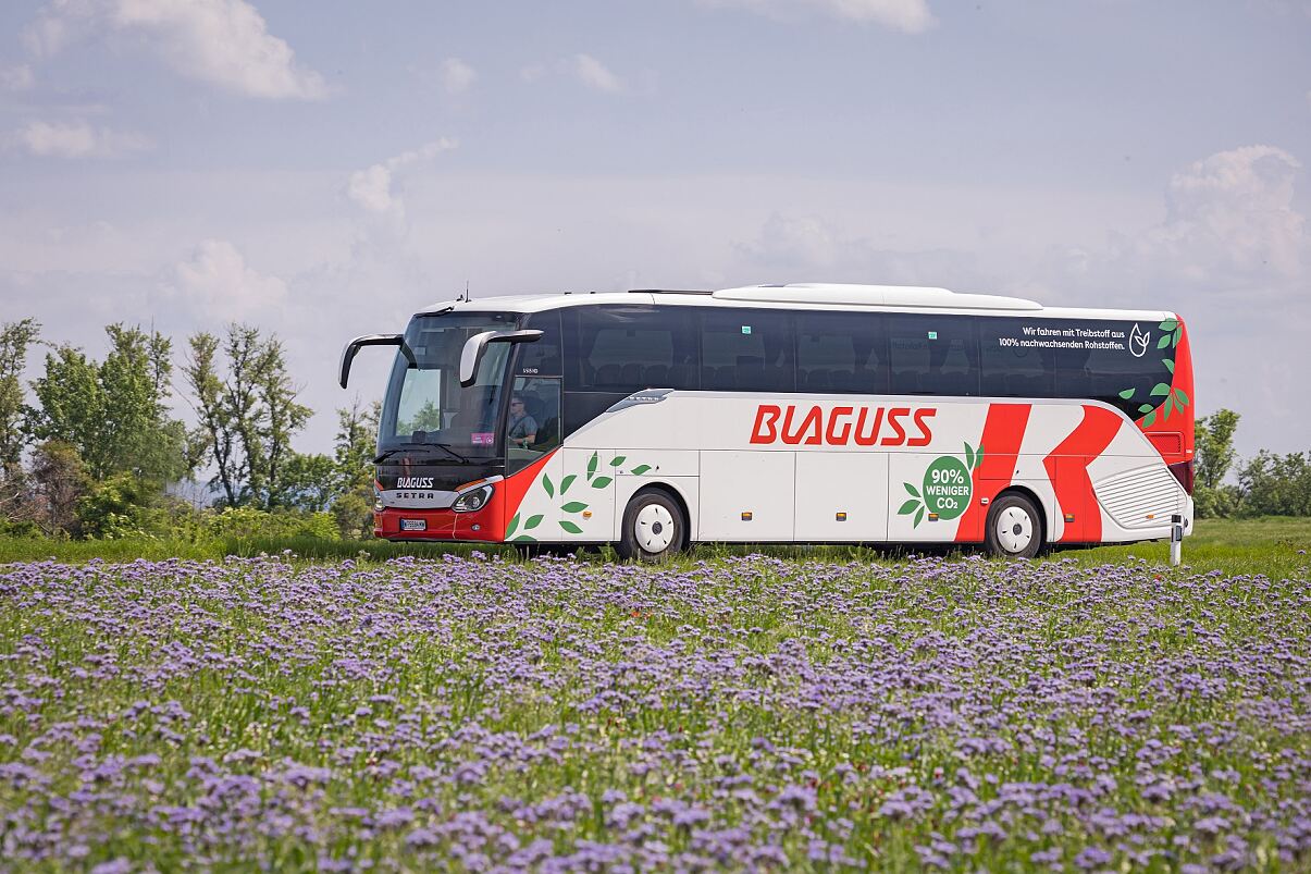 Blaguss_Bus_Presse 3