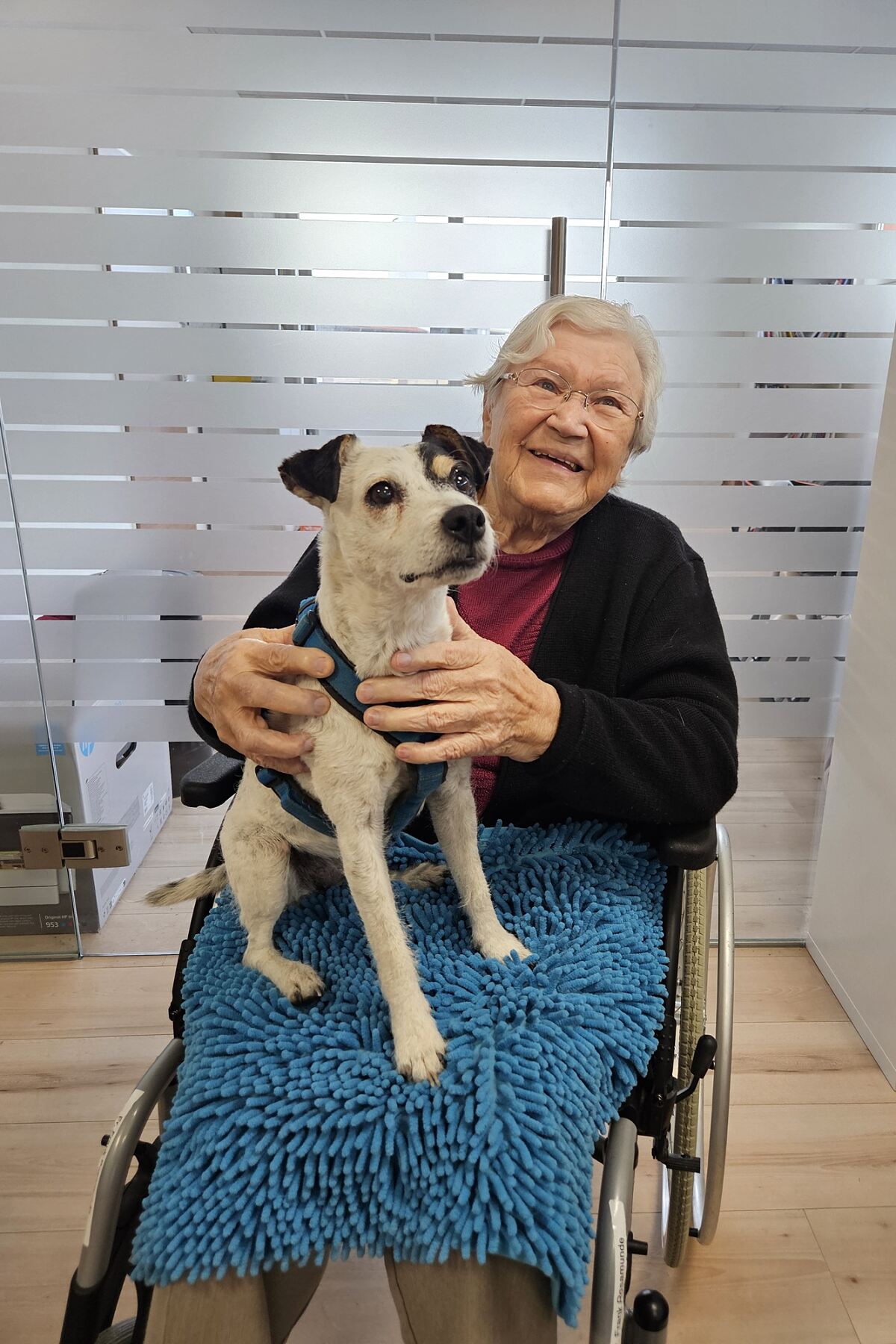 secu_PA_Pöchlarn_Besuch Hundeschule_Presse1.jpg