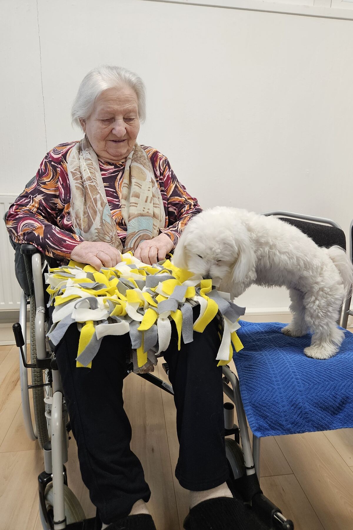 secu_PA_Pöchlarn_Besuch Hundeschule_Presse3.jpg