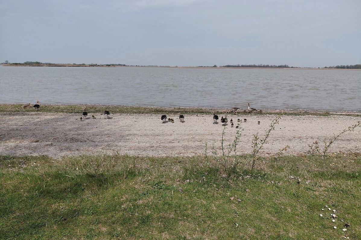 secu_PA_Frauenkirchen Ausflug Zicksee_Presse 2