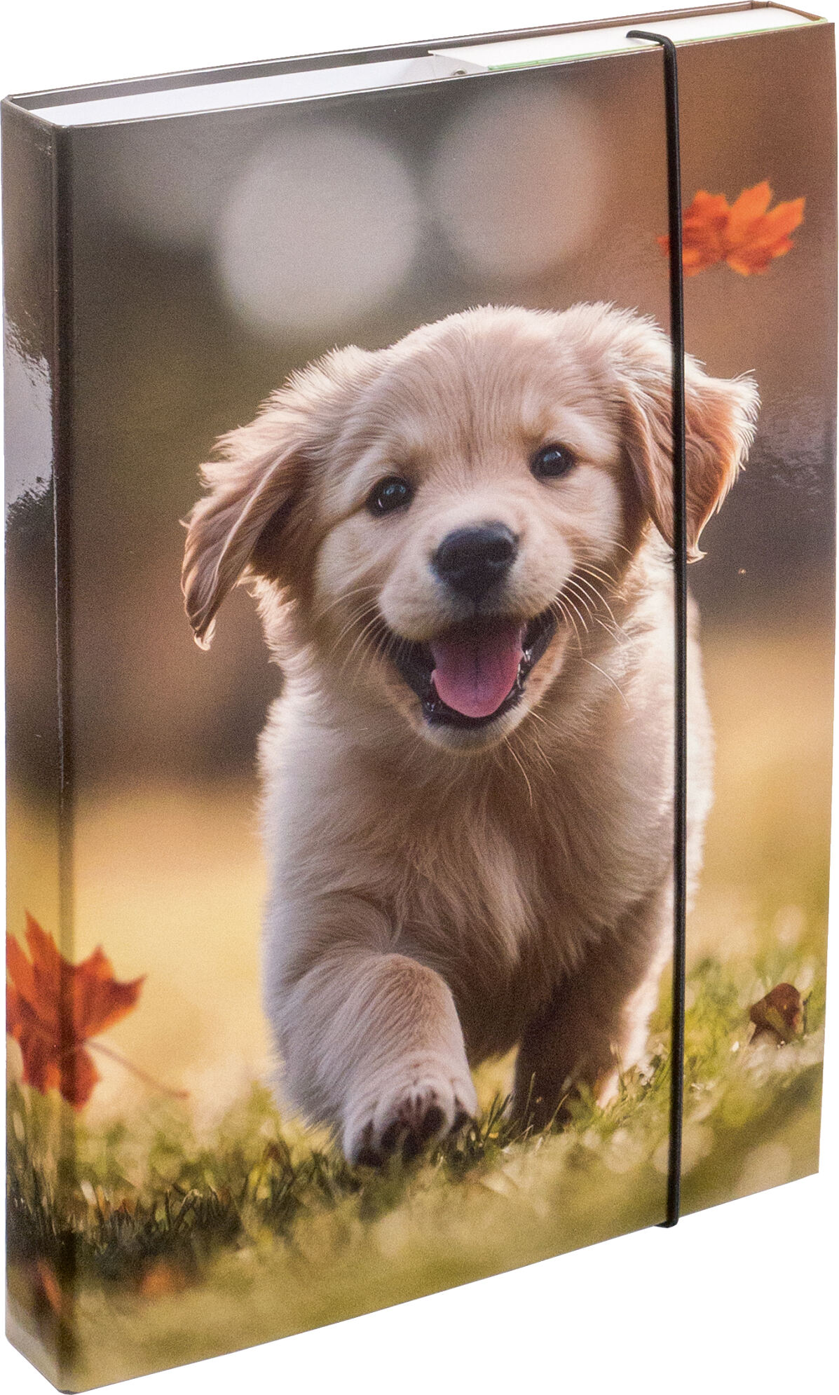 Pagro, Libro_Heftbox Hund_€ 4,79