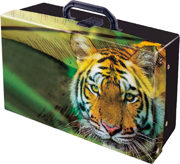 Pagro, Libro_Handarbeitkoffer Tiger_€11,99