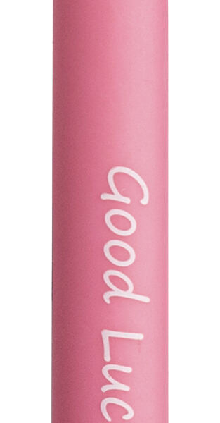 Pagro, Libro_Eberhard Faber Gelroller Erase it rosa Schwein_€ 3,09