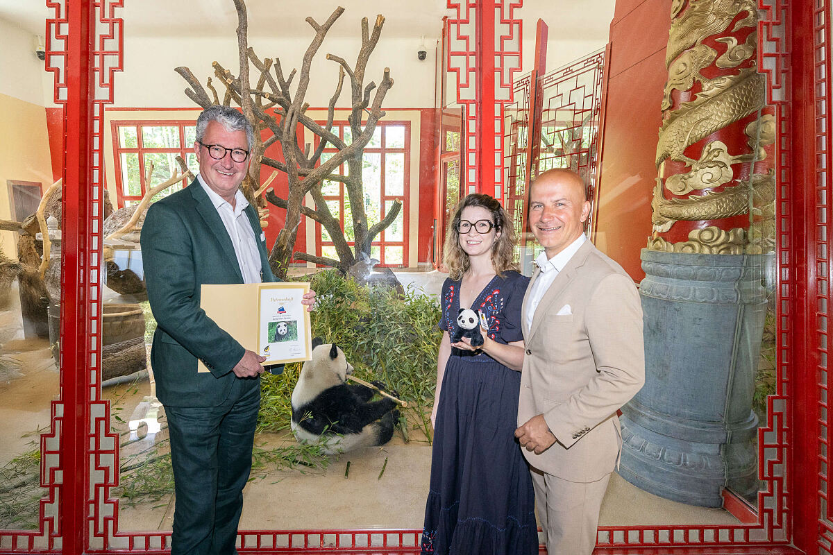 Die Patenschaft für die Großen Pandas im Tiergarten Schönbrunn wird verlängert – ein charmantes, aber konsequentes Signal an einen von Österreichs wichtigsten Tax-Free-Shopping-Märkten