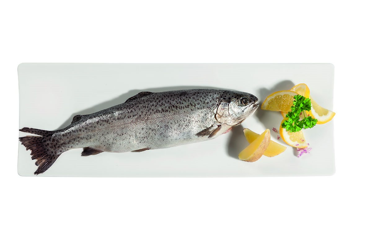 1_Lidl Oesterreich_Genussregion_Fisch