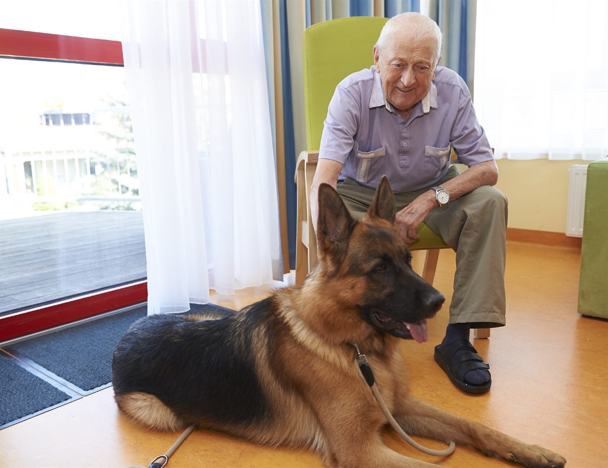 secu_PA_Kittsee_Hundebesuch_Presse1