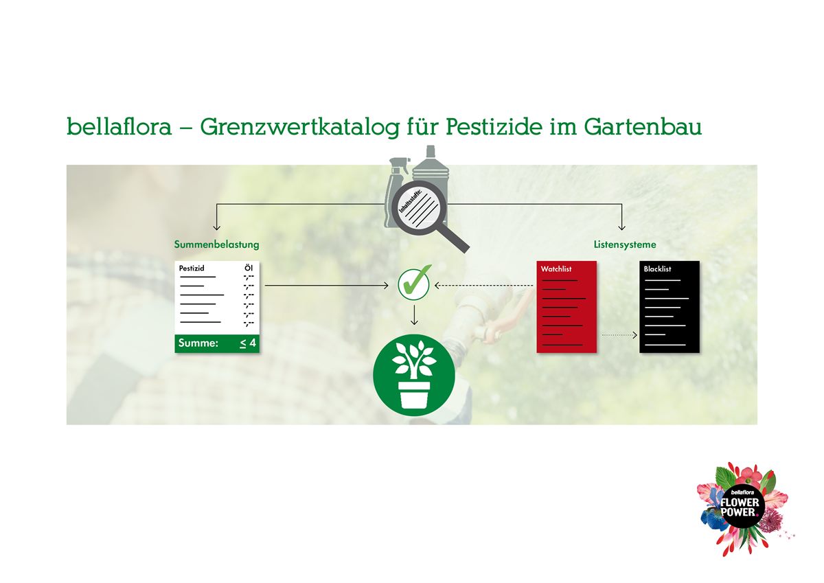 170301_Grafik_bellaflora_PK_Grenzwertkatalog