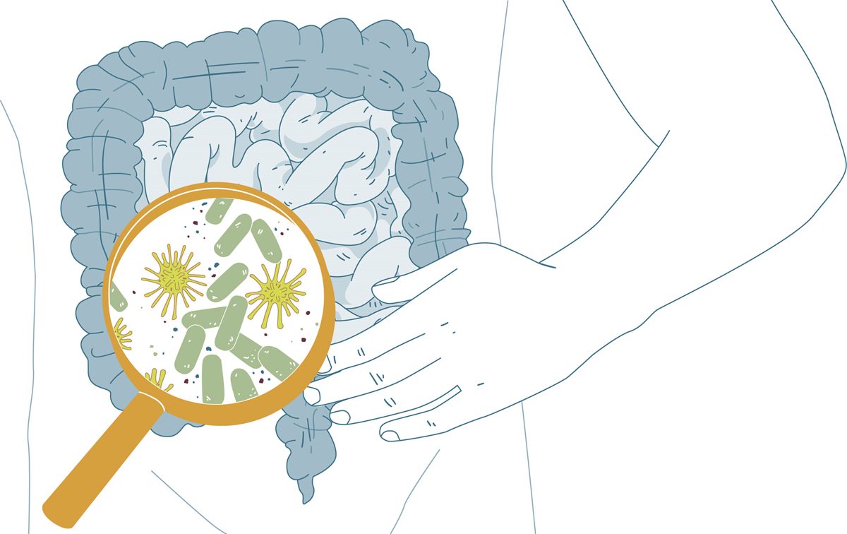 Biogena_Akademie_Mikrobiom_Illustration