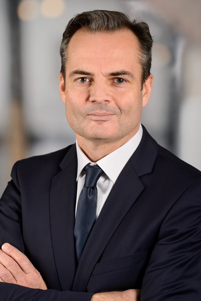 Mirko Waniczek, EY Österreich