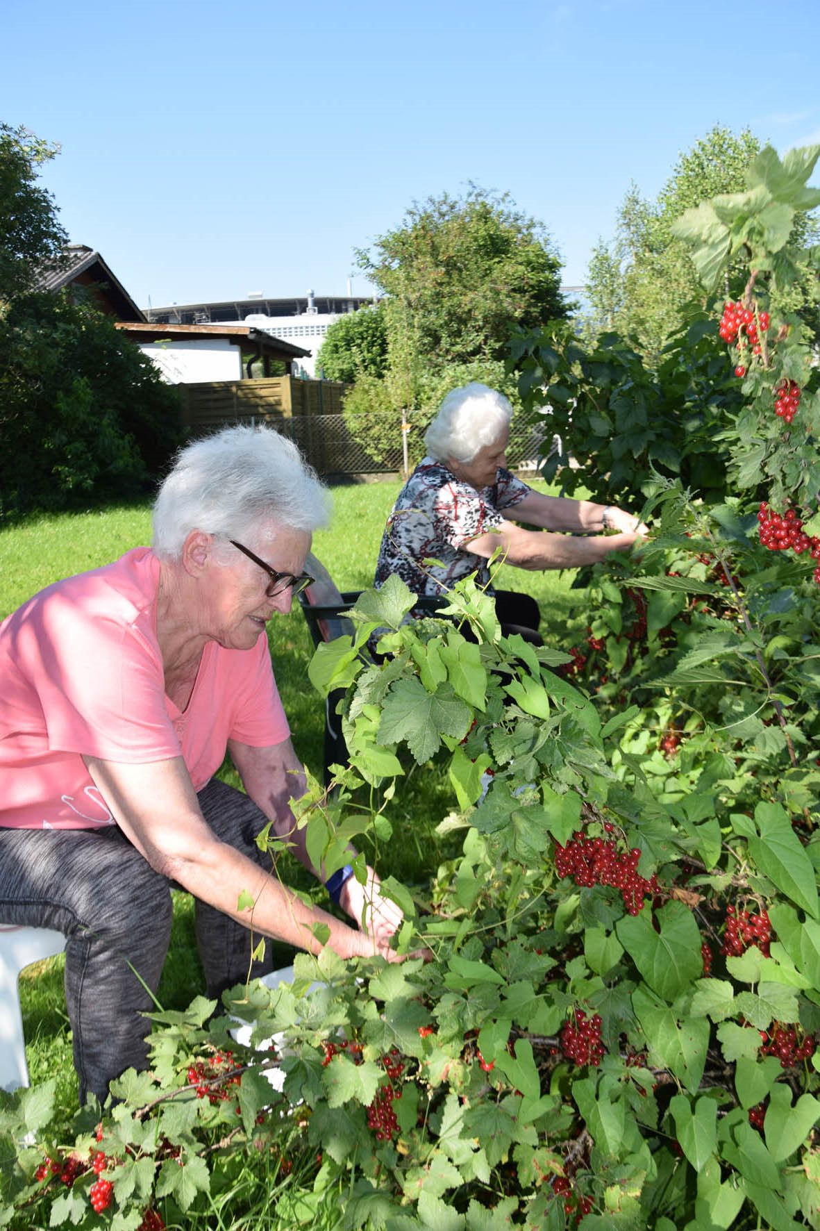 secu_PA_Gratkorn_Marmeladeeinkochen_Presse2