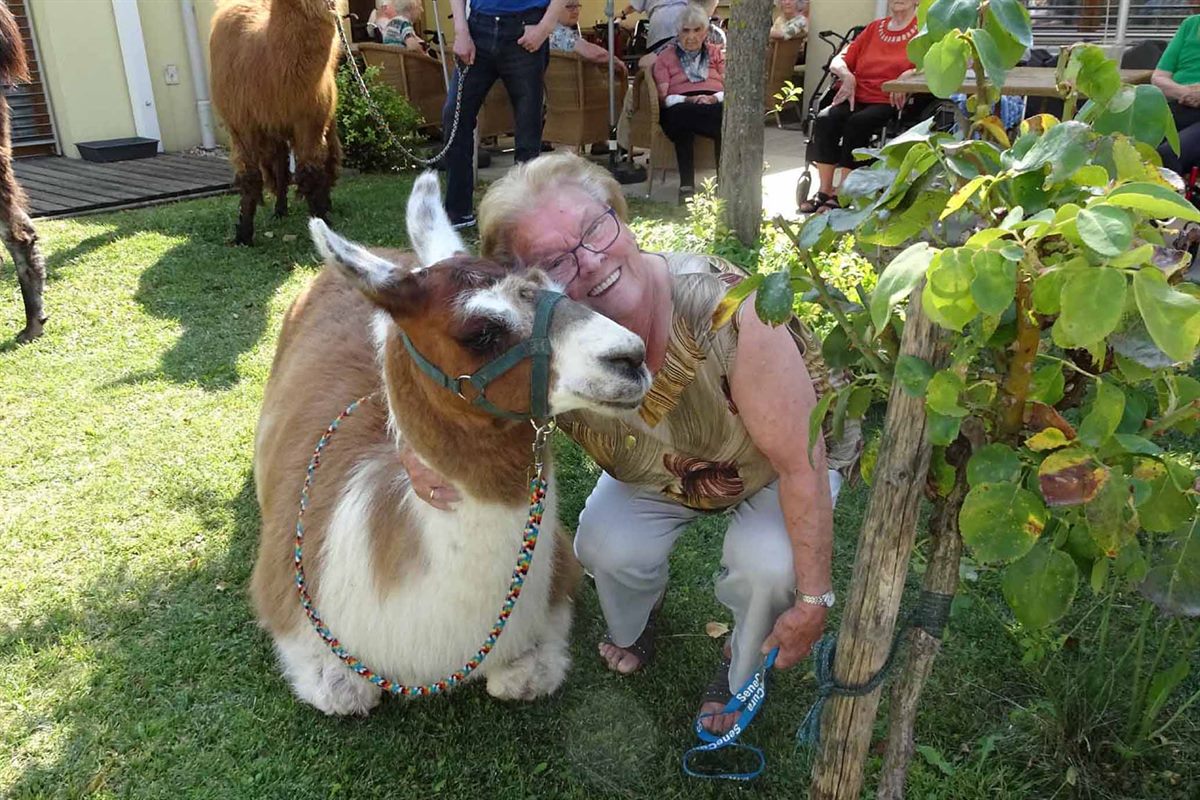 secu_PA_Rust_Besuch Lamas_Presse1