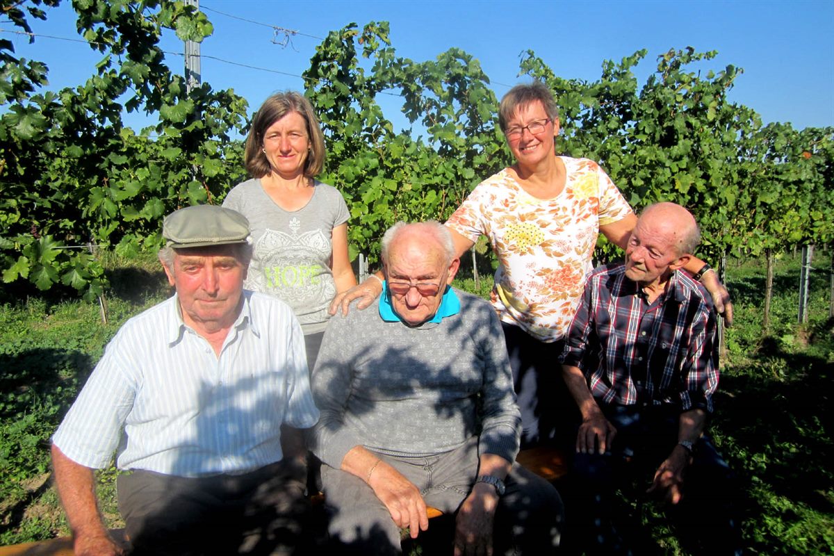 secu_PA_Krems Thorwesten Weinlese_Presse1