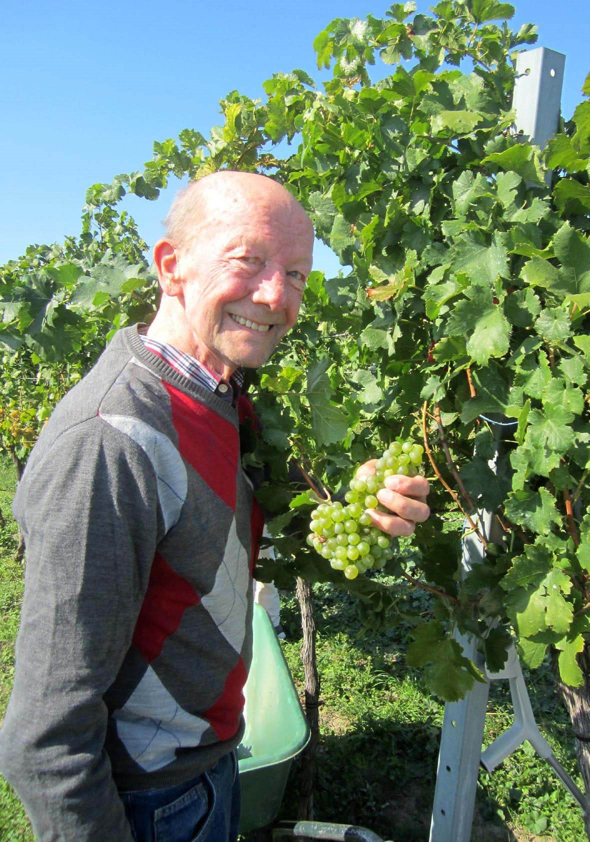 secu_PA_Krems Thorwesten Weinlese_Presse2