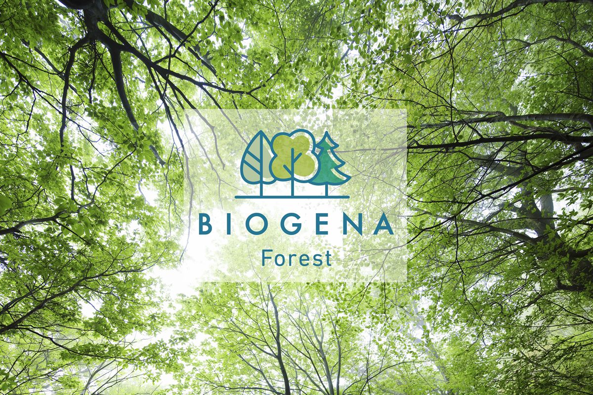 Biogena_Forest_4