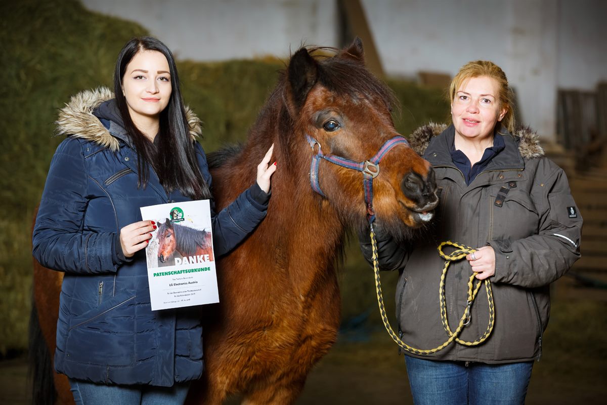 LGE_PA_Charity Tierheim_20181220_Presse 2