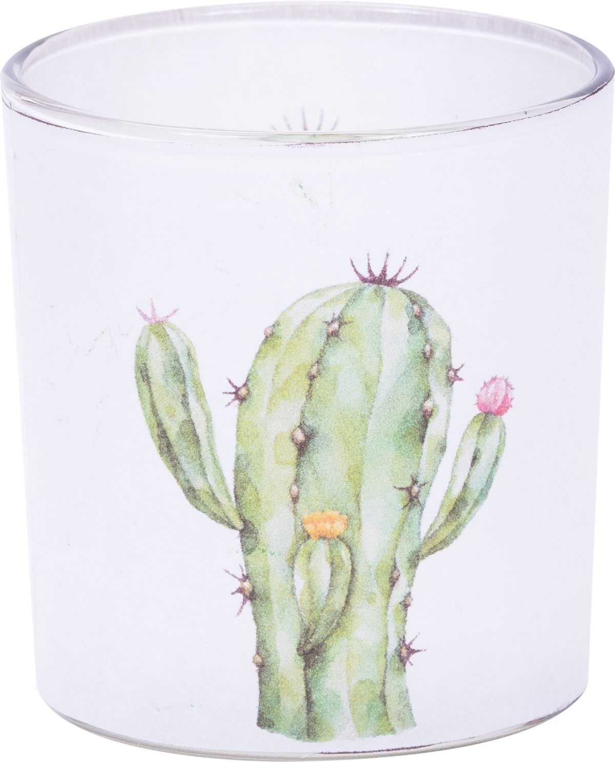 LIBRO_Teelichtglas-Kaktus 1_€ 1,99