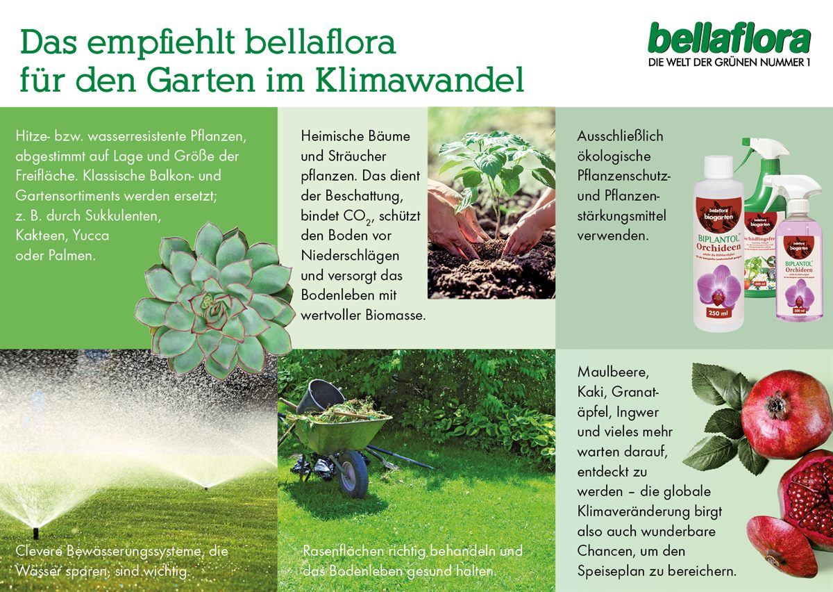 Empfehlung von bellaflora für den Garten im Klimawandel