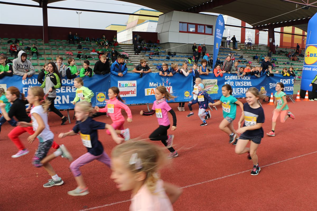 Lidl_Schullauf_Traun