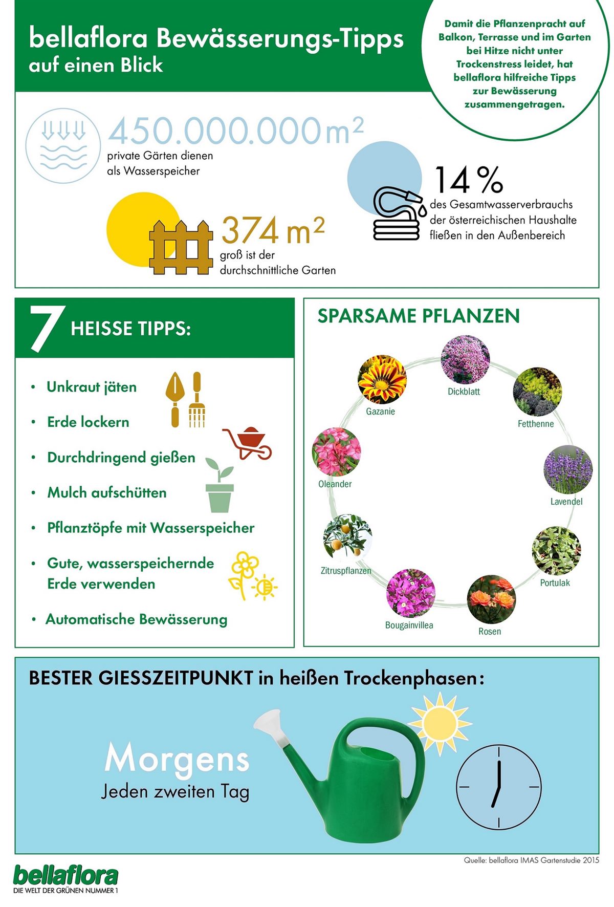bellaflora_Infografik_PA Bewässerungstipps