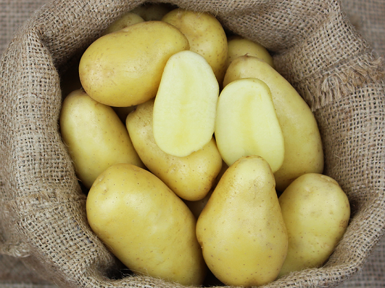 BEL_Kartoffeln Linzer Delikatess-Knolle