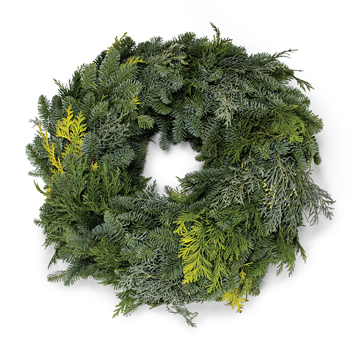 bellaflora_Kranz Koniferen-Mix_€ 9,99