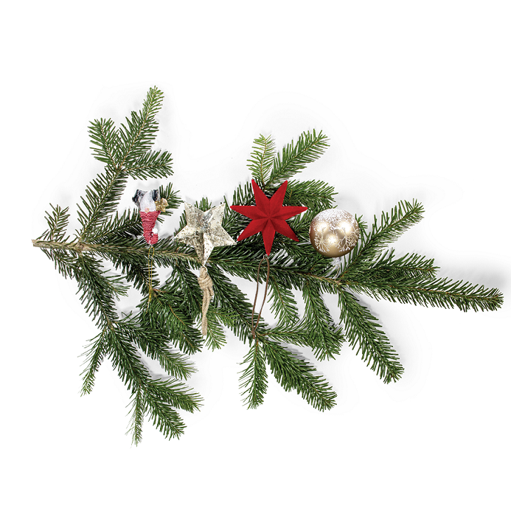 bellaflora_Weihnachtsdekoration_€ 2,69