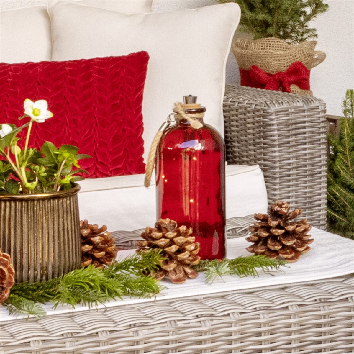 bellaflora_LED Flasche Collin_€ 9,99