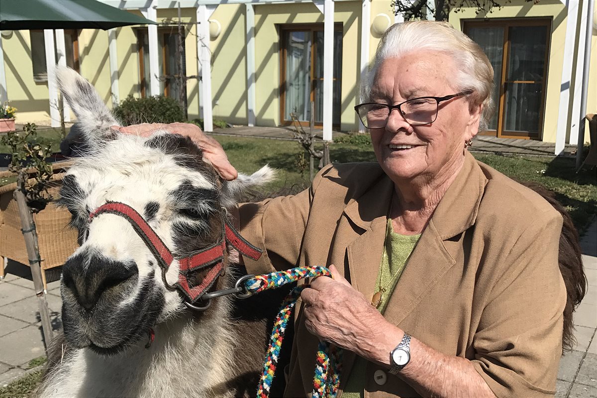 secu_PA_Rust_Besuch Lamas_Presse2