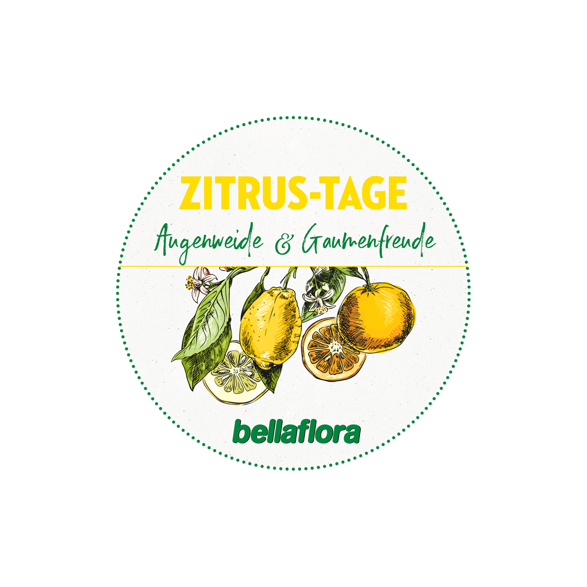 Ein Zitrusmeer mitten in Niederösterreich: bellaflora Zitrus-Roadshow ...