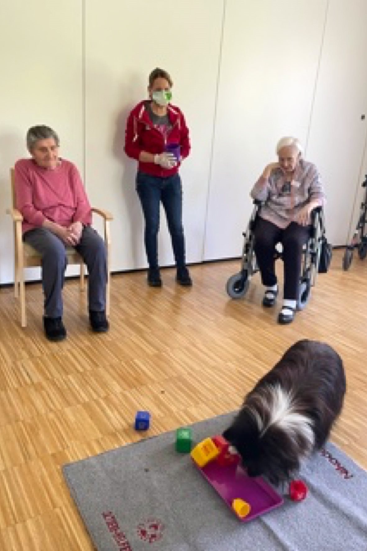 secu_PA_Kirchberg Therapiehund_Presse3