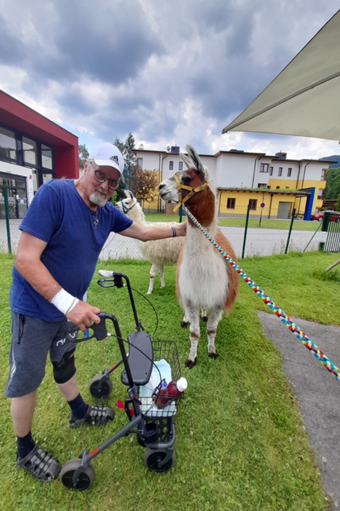 secu_PA_Kirchberg am Wechsel_Lama-Besuch_Presse1