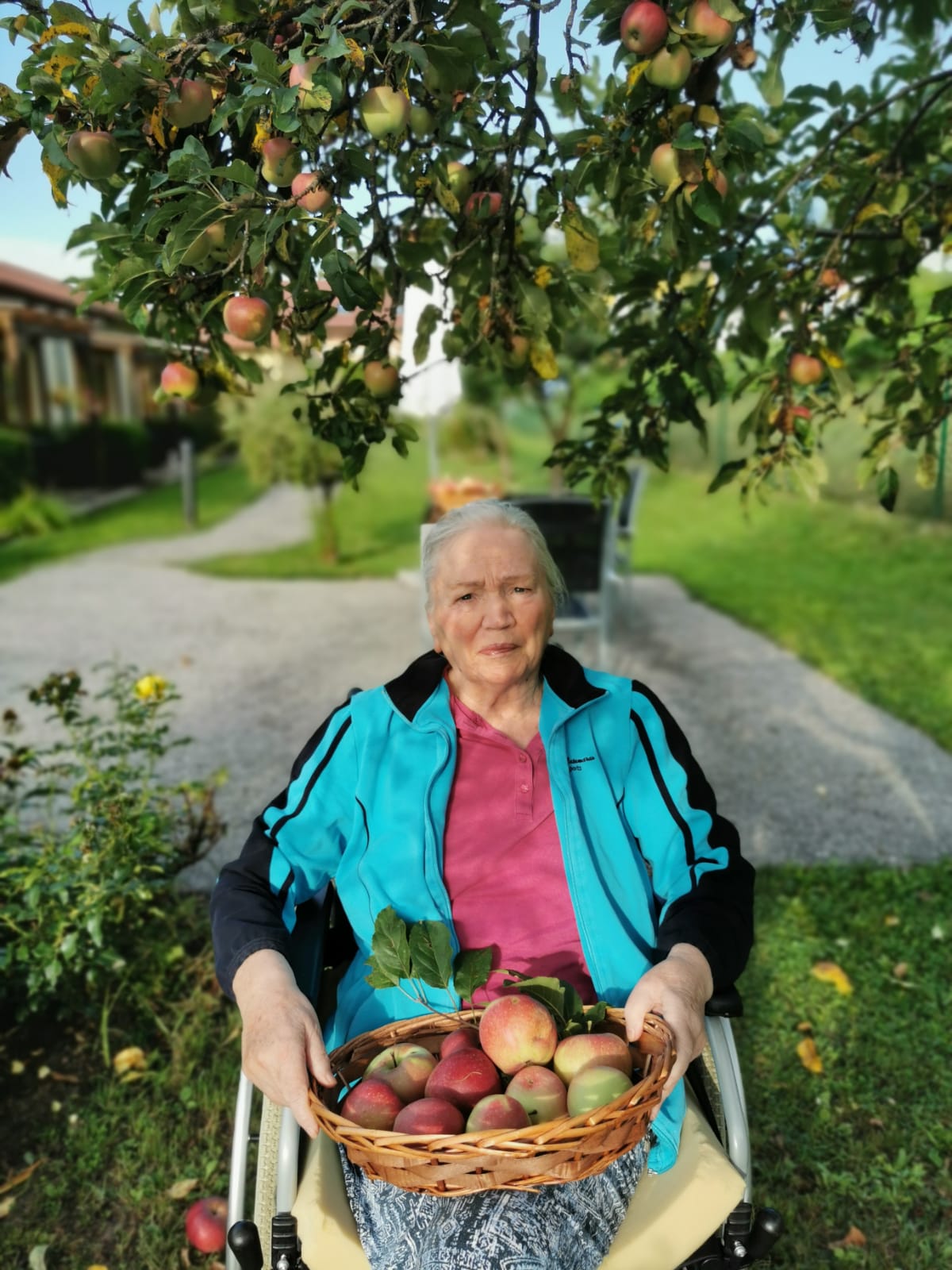 secu_PA_Arnoldstein_Ernte_Presse1