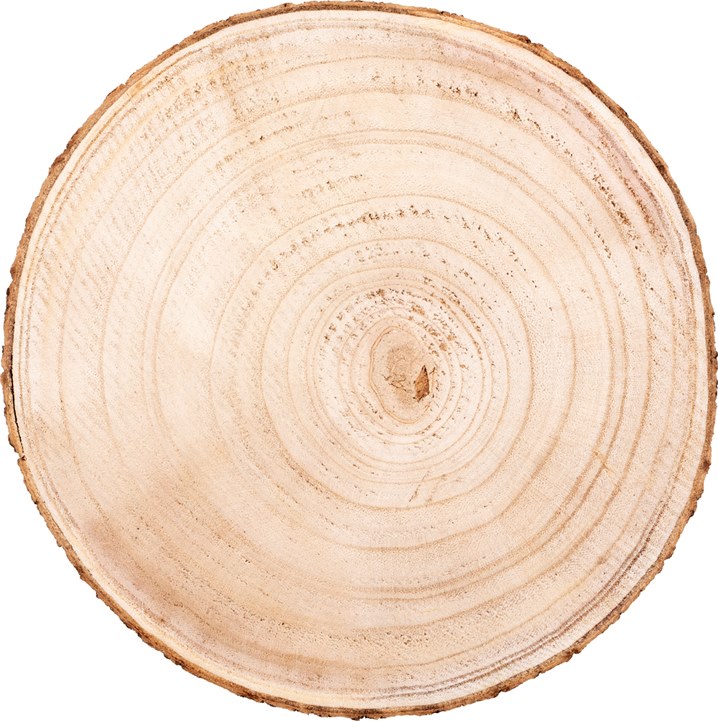 LIBRO_Dekoscheibe aus Holz, ca. 24 cm_€ 4,99