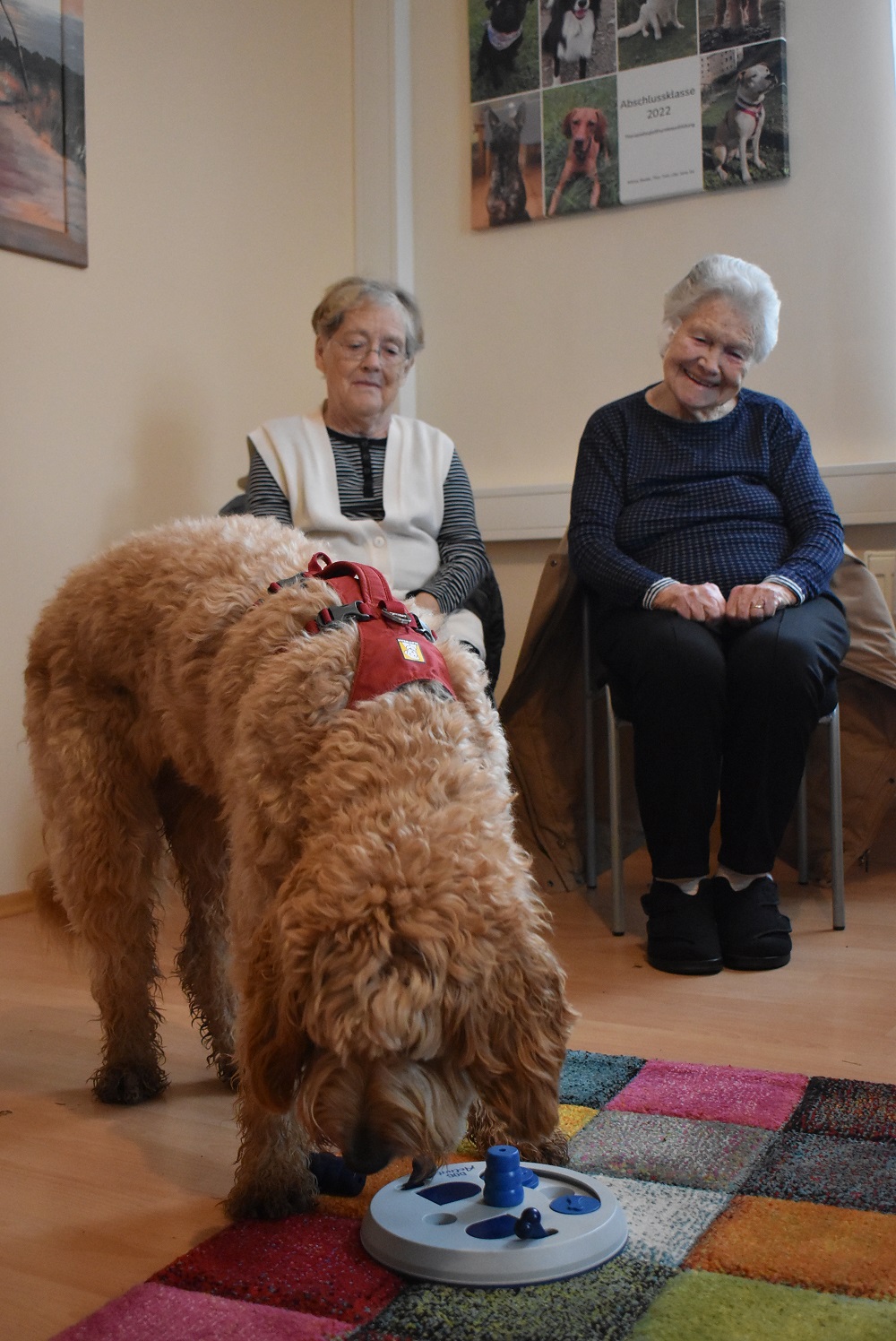 secu PA Pöchlarn Hundeschule Presse1