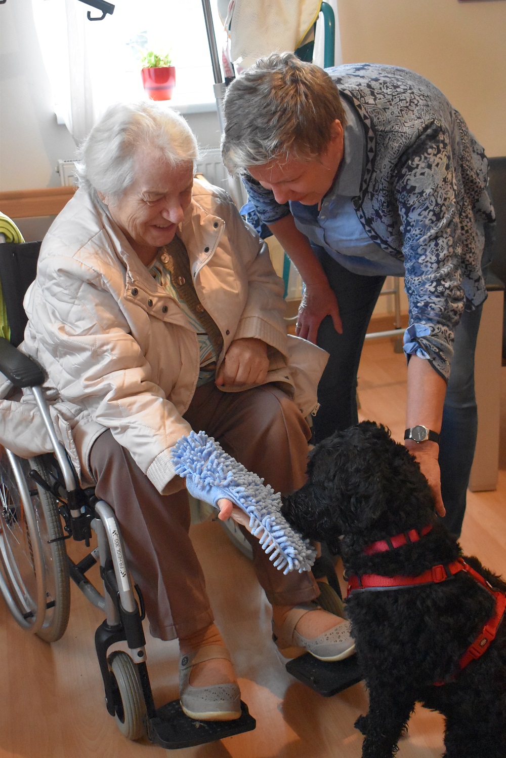 secu PA Pöchlarn Hundeschule Presse2