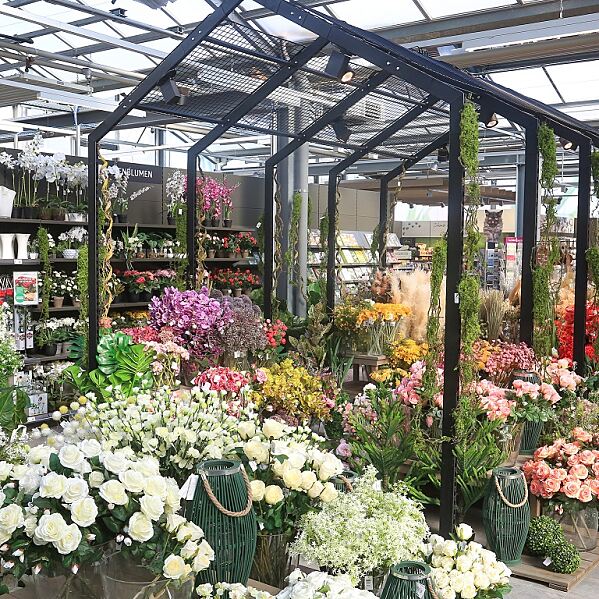 bellaflora_Filiale