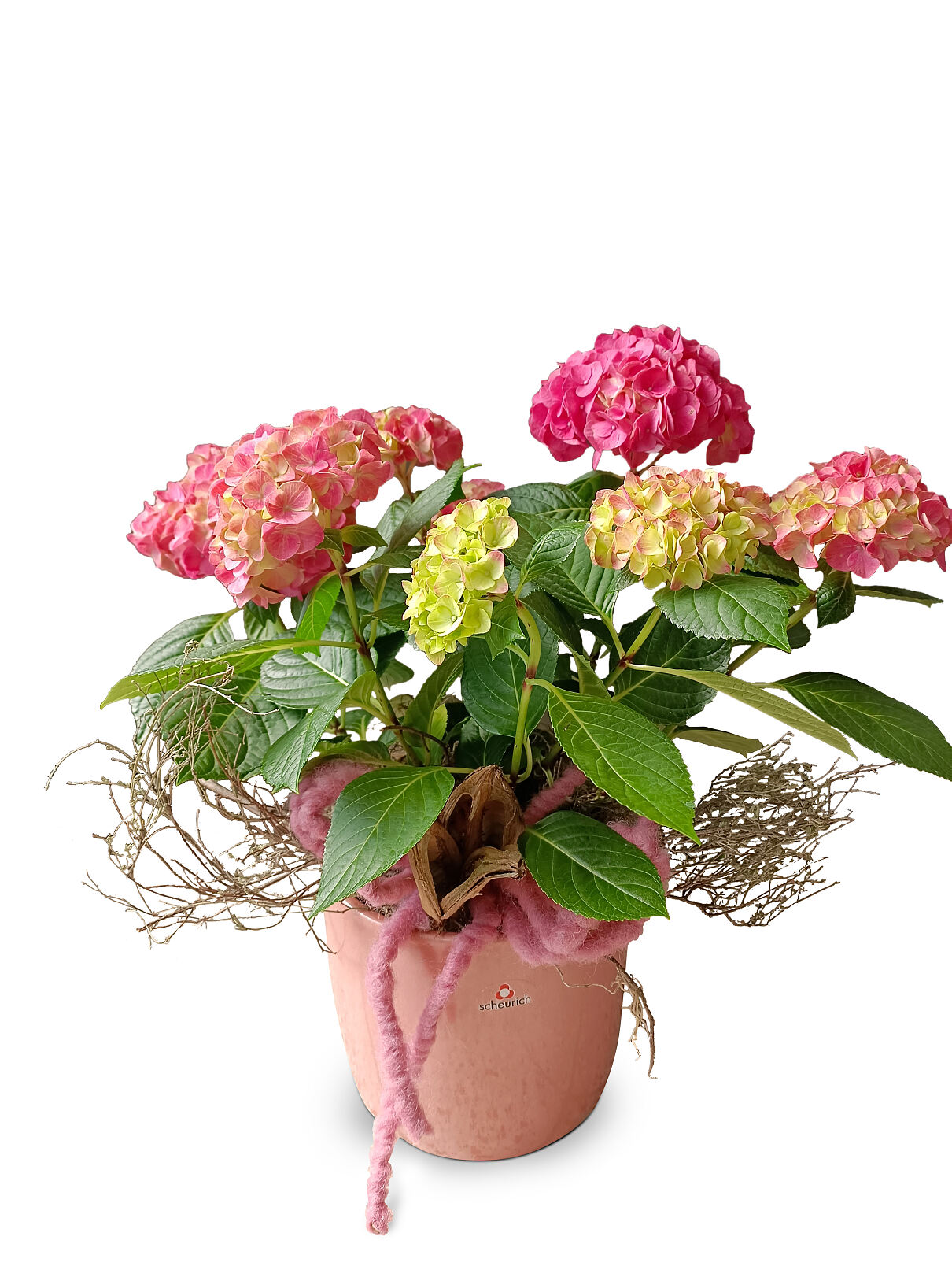 bellaflora_Set Farbenspiel Arrangement_€ 37,99