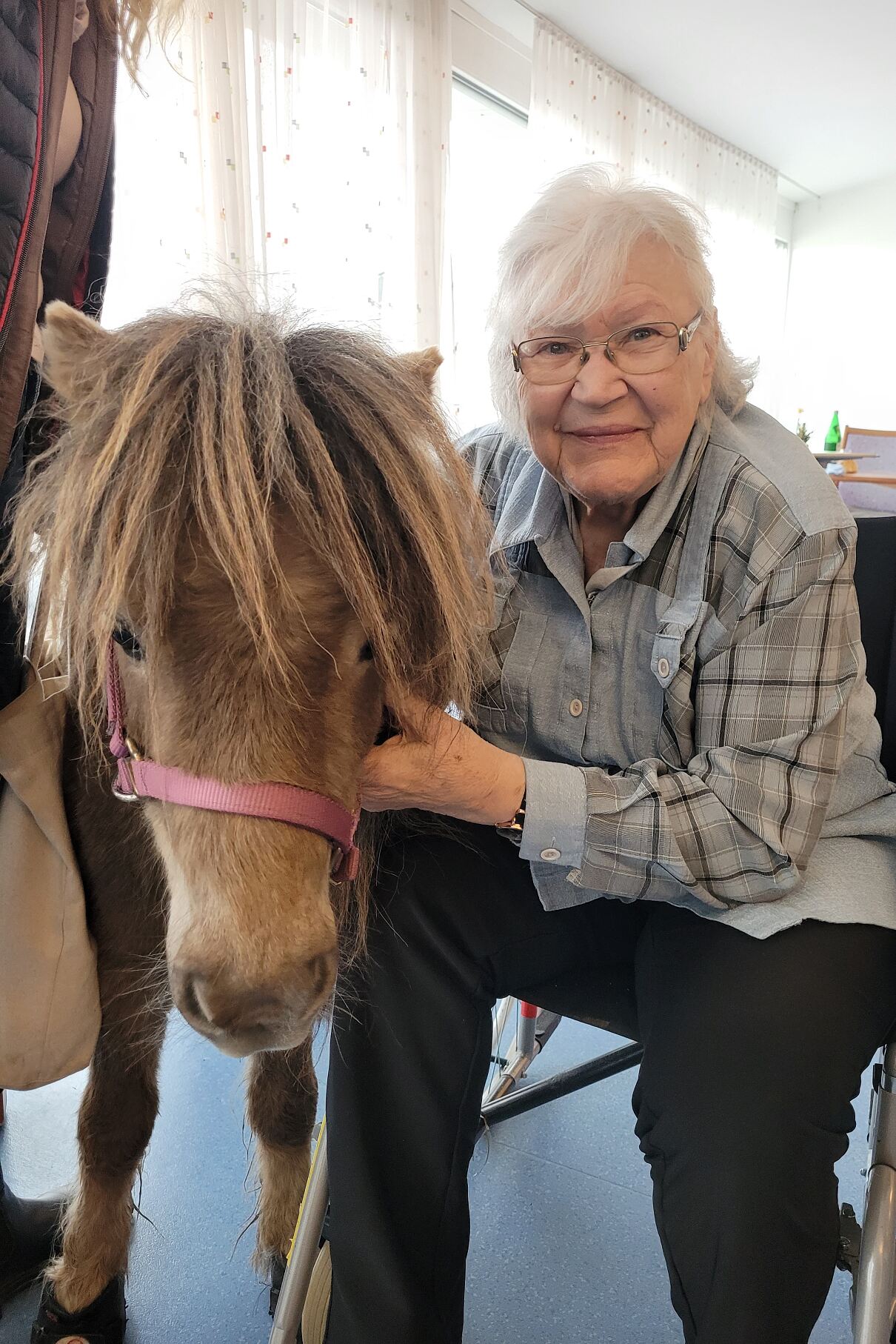 secu_PA_Pöchlarn_Ponys_Presse1