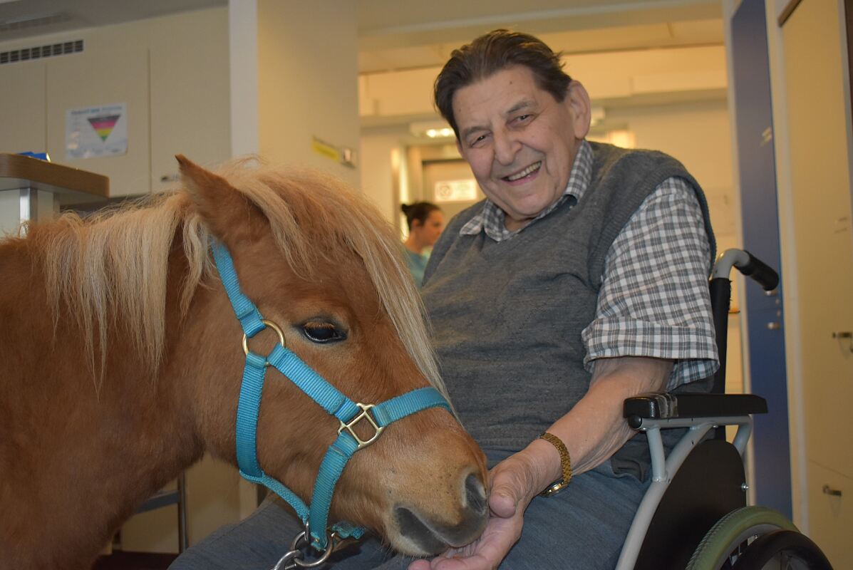 secu_PA_Pöchlarn_Ponys_Presse2