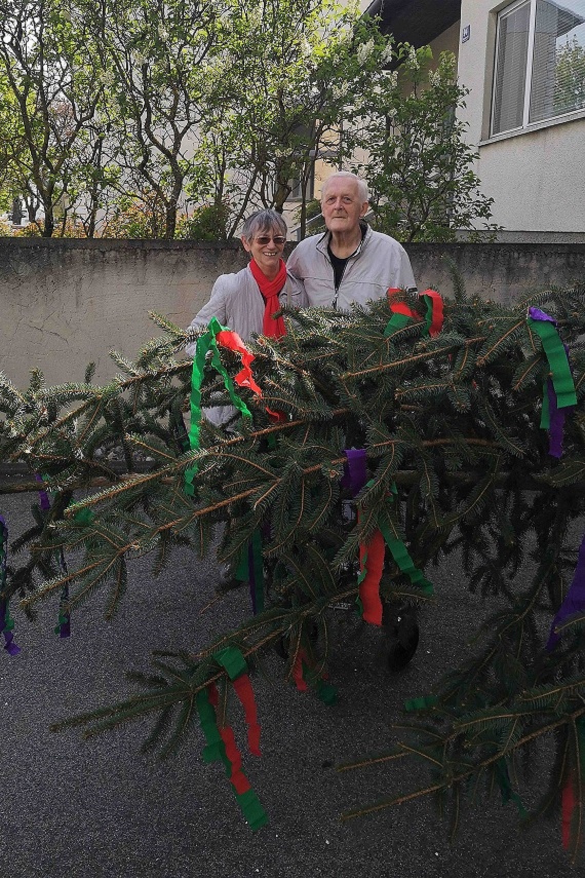 secu_PA_Nikitsch_Maibaum_Presse 2