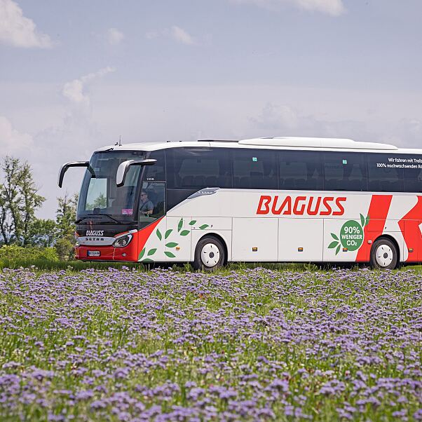 Blaguss_Bus_Presse 3