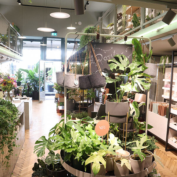 bellaflora_Eröffnung Salon Verde_Presse 7
