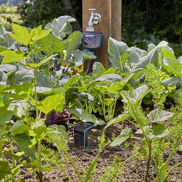 Die flexible Tropfbewässerung von GARDENA lässt sich für effizientes Gießen mit einer zeitlichen Steuerung und einem Sensor kombinieren.