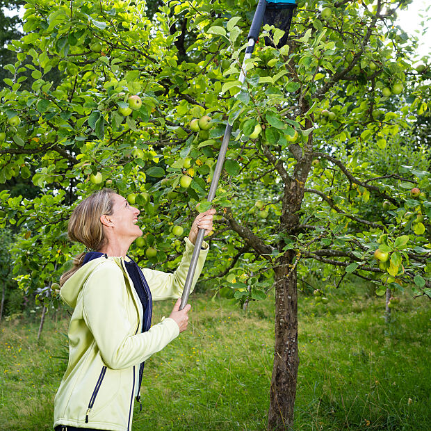 Die Haslingers schätzen auch das Gardena combisystem und nutzen das nachhaltige und praktische System gleichermaßen zum Obstsammeln am Boden und in den Bäumen.