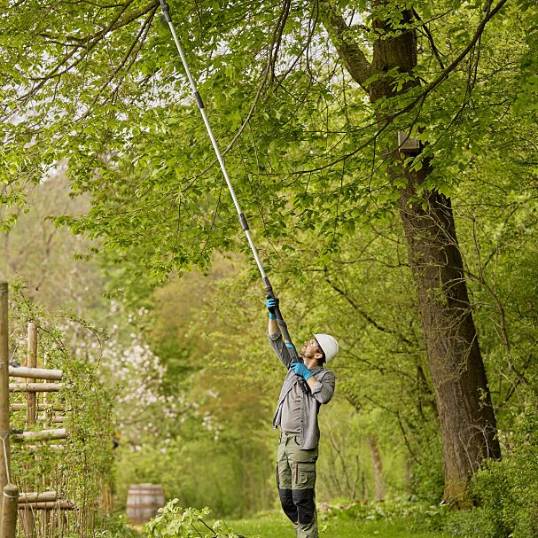  Die Akku-Teleskop-Baumschere HighCut hilft in besonders luftigen Höhen beim Baumschnitt.