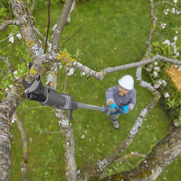 Mit der EasyCut schneidet Mann bis zu 2,50 Meter Höhe und für alles darüber hinaus greift er zur  Akku-Teleskop-Baumschere HighCut .