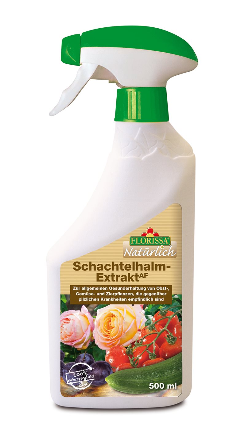 Florissa_Pflanzenstärkung_Schachtelhalm-Extrakt AF_500ml