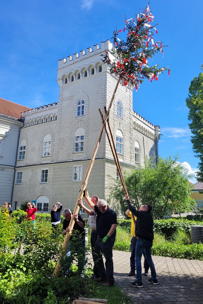secu_PA_Pöchlarn_Maibaum_Presse2