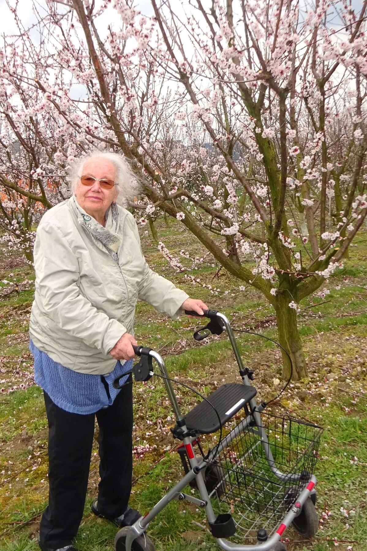 secu PA Thorwesten Marilleblüte Presse3