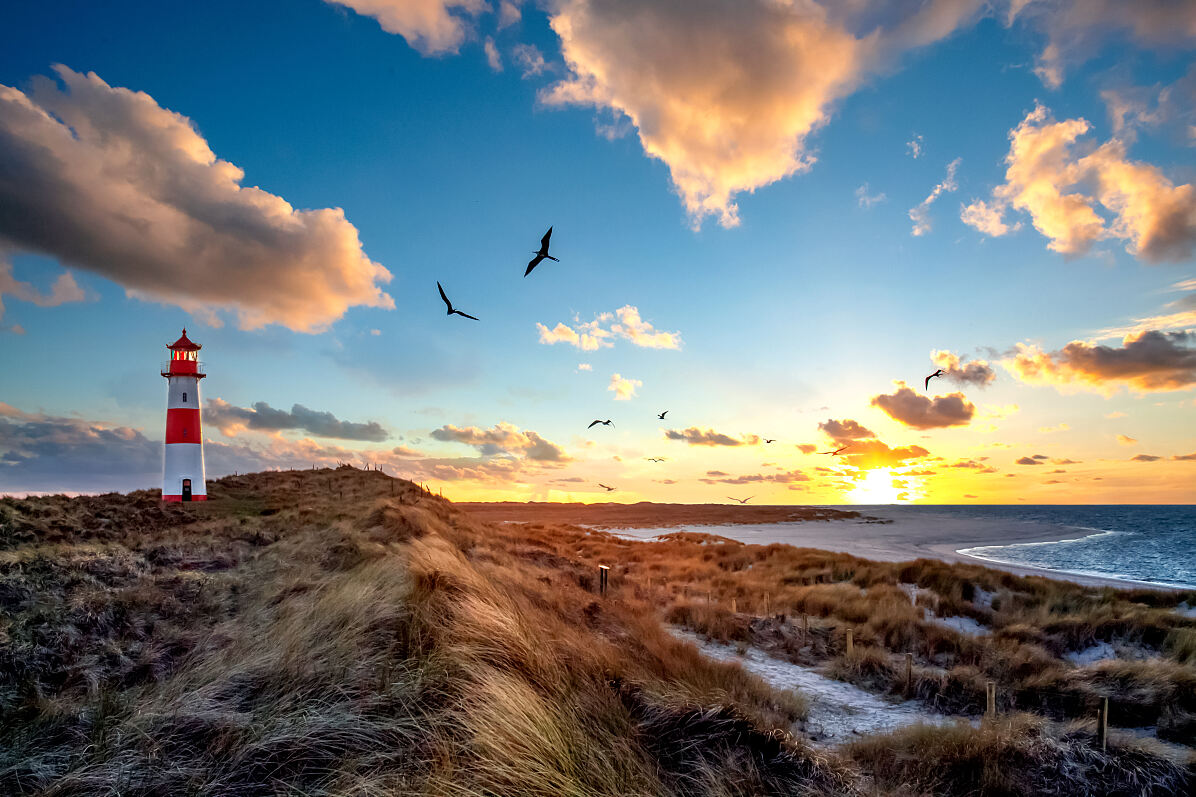 DERTOUR_Lister-Ellenbogen-Leuchtturm Sylt Nordsee